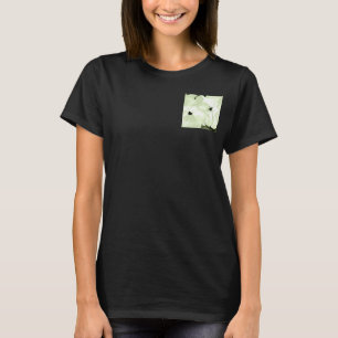 ポロシャツ Tシャツ