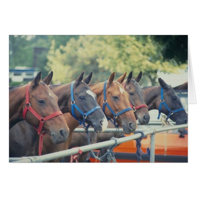 ポロポニーストリング (正面横)