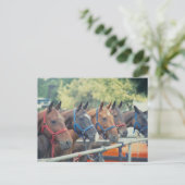 ポロポニーストリング ポストカード (スタンド正面)