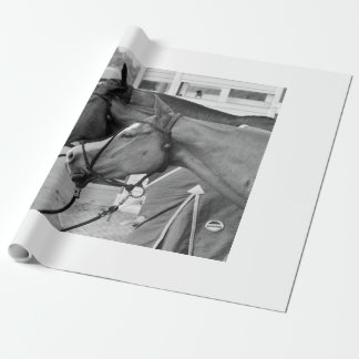 ポロポニーラッピング紙 ラッピングペーパー