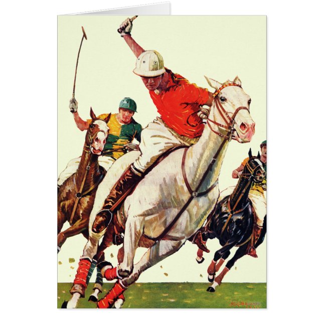 ポロマッチ (正面)