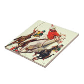 ポロマッチ タイル (側面)