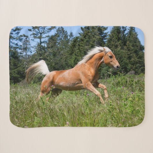 ポロミノの馬が牧草地を駆ける シェルパブランケット (正面(横))