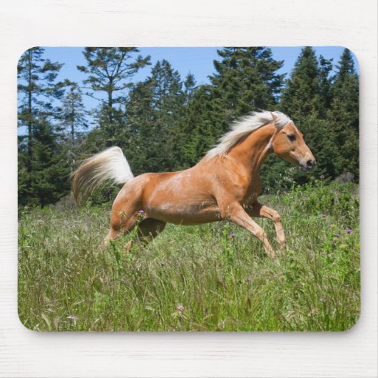 ポロミノの馬が牧草地を駆ける マウスパッド (正面)