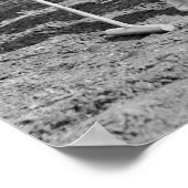 ポロレディース: 1925年 ポスター (角)