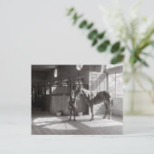 ポロ厩舎， 1933 ポストカード (スタンド正面)