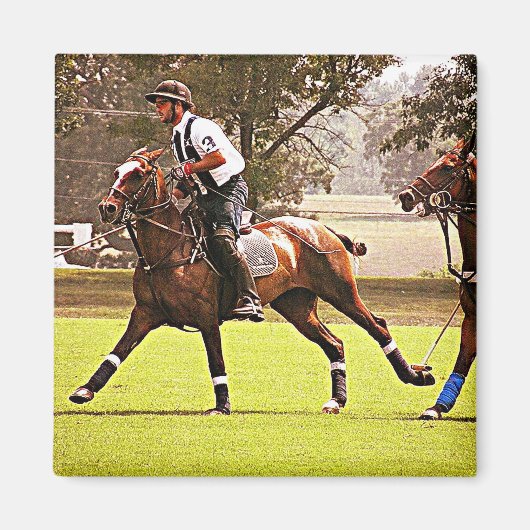 ポロ用の小馬の磁石 マグネット (正面)