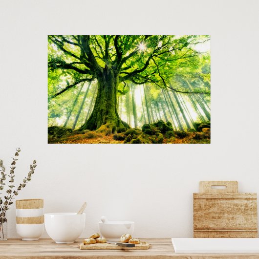 ポンツスブナ ポスター (キッチン)