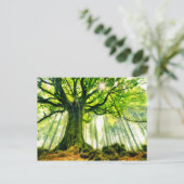 ポンツスブナ ポストカード (スタンド正面)