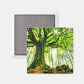 ポンツスブナ マグネット (正面/裏面)