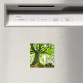 ポンツスブナ マグネット (インサイチュ (食洗機))