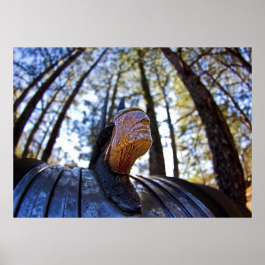 ポンティアックインディアンフードオーナメント(明るい) ポスター (正面)