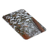 ポンデローサパインの木の枝に雪が積もる マグネット (右側)