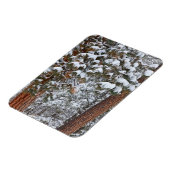 ポンデローサパインの木の枝に雪が積もる マグネット (左側)