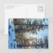 ポンデローザシャインコロラドマウンテンポストカード ポストカード (正面/裏面)