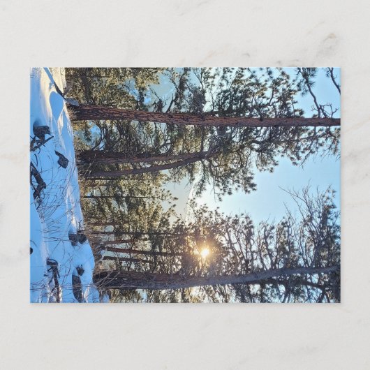 ポンデローザシャインコロラドマウンテンポストカード ポストカード (正面)