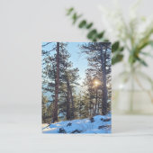 ポンデローザシャインコロラドマウンテンポストカード ポストカード (スタンド正面)