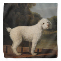 ポントの白いプードル（George Stubbs著）