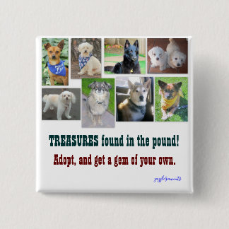 ポンドで見つかった財宝 缶バッジ