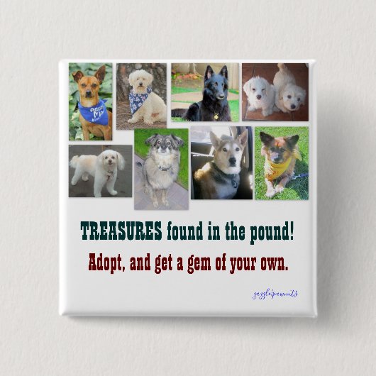 ポンドで見つかった財宝 缶バッジ (正面)