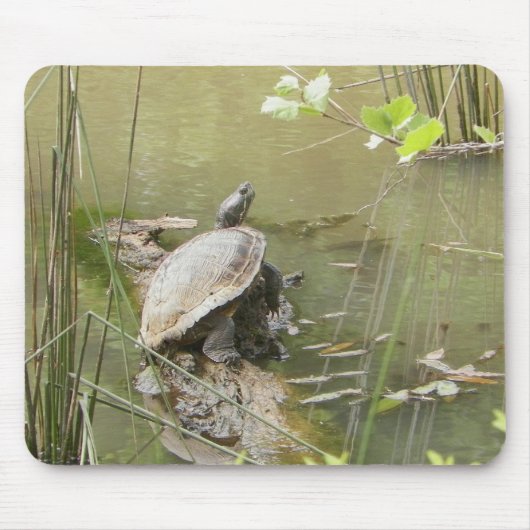 ポンドカメ マウスパッド (正面)