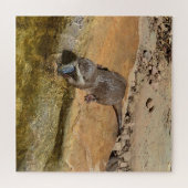 **「ポンドサイドの饗宴:カワウソと彼のキャッチ** ジグソーパズル (横)