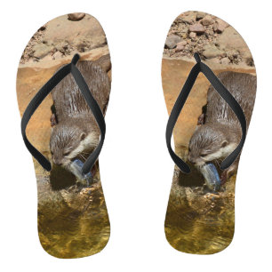 **「ポンドサイドの饗宴：カワウソと彼のキャッチ** ビーチサンダル