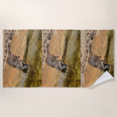 **「ポンドサイドの饗宴：カワウソと彼のキャッチ** ビーチタオル (正面)