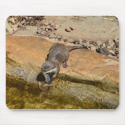 **「ポンドサイドの饗宴:カワウソと彼のキャッチ** マウスパッド (正面)