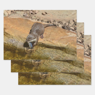 **「ポンドサイドの饗宴:カワウソと彼のキャッチ** ラッピングペーパーシート