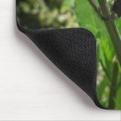 ポンドドラゴン マウスパッド (コーナー)