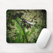 ポンドドラゴン マウスパッド (マウス)