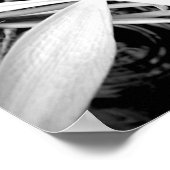 ポンドリリー ポスター (角)