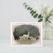 ポンパドール夫人はがき ポストカード (スタンド正面)