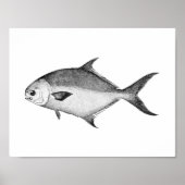ポンパノフィッシュ白黒ヴィンテージイラストレーション ポスター (正面)