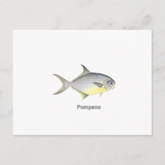 ポンパノ（タイトル） ポストカード (正面)