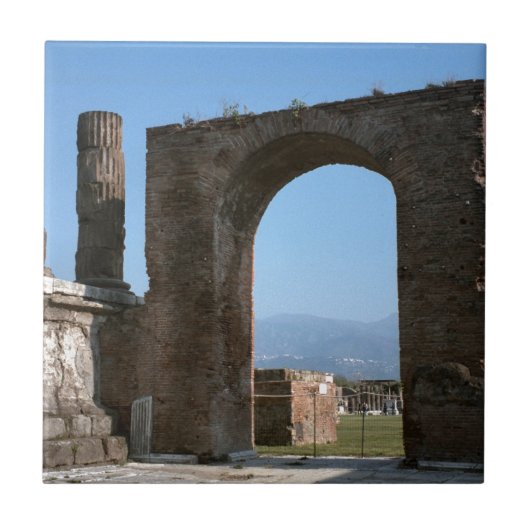 ポンペイの考古学的な場所 タイル (正面)