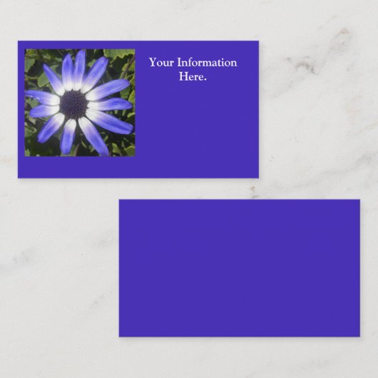 ポンペイア 名刺 (正面/裏面)