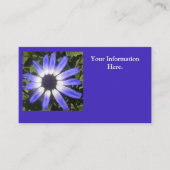 ポンペイア 名刺 (正面)