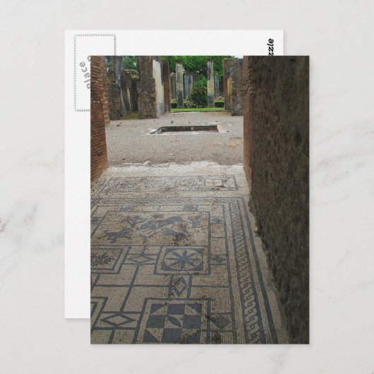 ポンペイモザイクフロア ポストカード (正面/裏面)