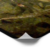 ポンペイ・コレクション/庭の鳩 ポスター (角)