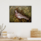 ポンペイ・コレクション/庭の鳩 ポスター (キッチン)