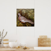 ポンペイ・コレクション/庭の鳩 ポスター (キッチン)