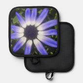 ポンペイ 鍋敷き (正面/裏面)