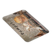 ポンペイ。#9 マグネット (右側)