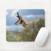 ポンホーンアンテロープ マウスパッド (マウス)