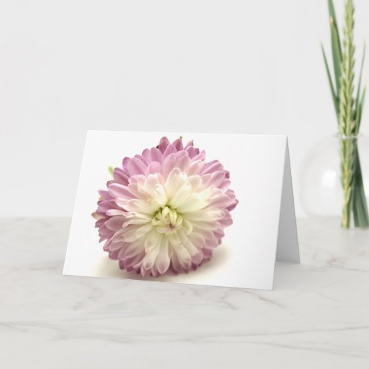 ポンポン カード (正面)