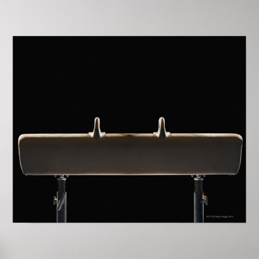 ポンメル馬 ポスター (正面)