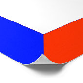 ポン引きコヨーテ ポスター (角)