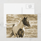 ポン絵を描イ ポストカード (正面/裏面)